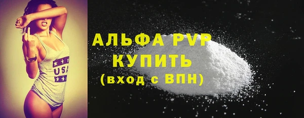 стаф Краснослободск