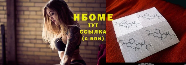 стаф Краснослободск