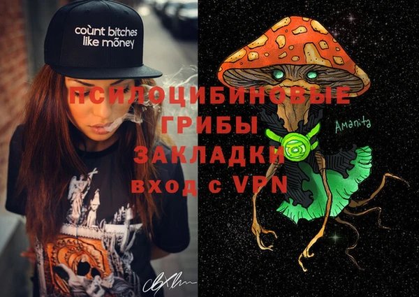 индика Данков