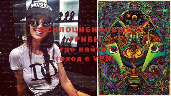 стаф Краснослободск