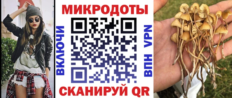 Галлюциногенные грибы мухоморы  купить   Козловка 